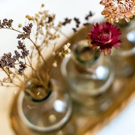 La Maison Charpennes-appartement Magnolia 2 Pers *